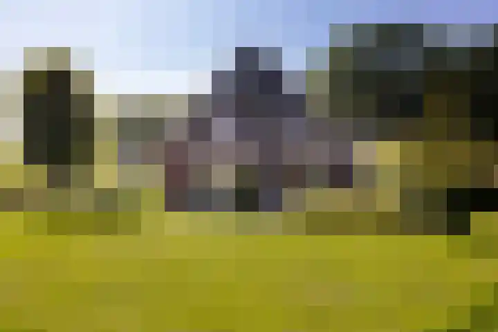 Oude Courageweg 7 Doornspijk thumbnail 53