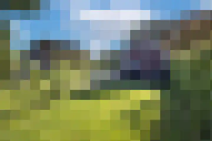 Oude Courageweg 7 Doornspijk thumbnail 55