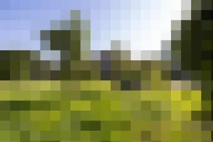 Oude Courageweg 7 Doornspijk thumbnail 56