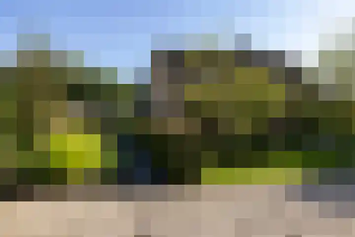 Oude Courageweg 7 Doornspijk thumbnail 57