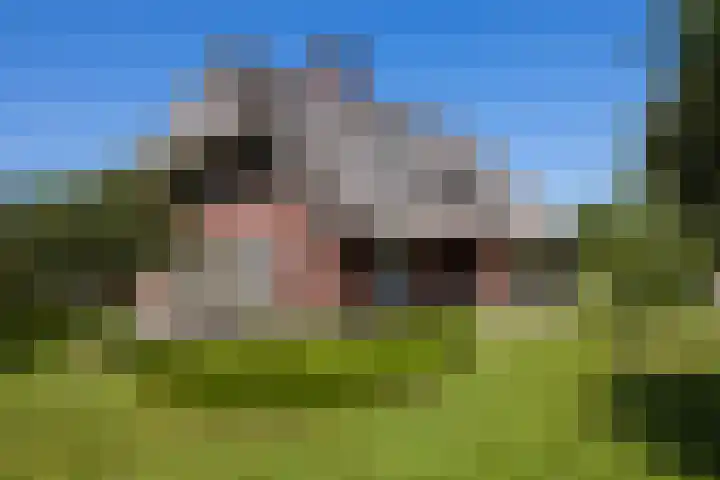 Oude Courageweg 7 Doornspijk thumbnail 58