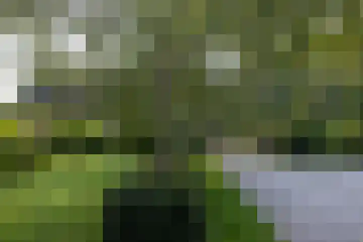 Oude Courageweg 7 Doornspijk thumbnail 59