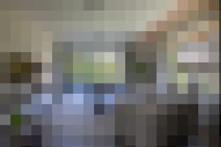 Oude Courageweg 7 Doornspijk thumbnail 6