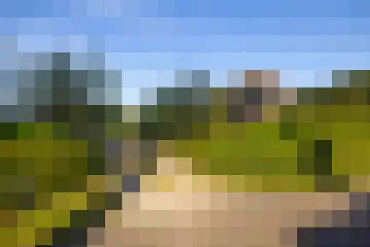 Oude Courageweg 7 Doornspijk thumbnail 60