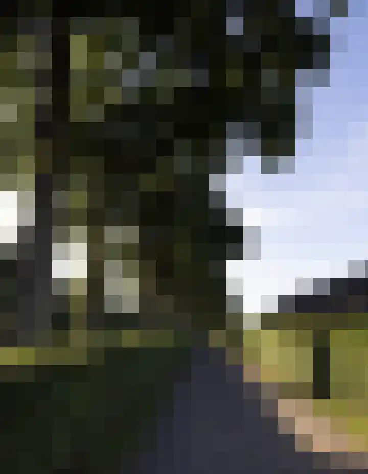 Oude Courageweg 7 Doornspijk thumbnail 61