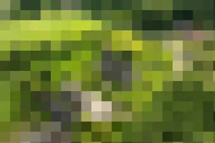 Oude Courageweg 7 Doornspijk thumbnail 62