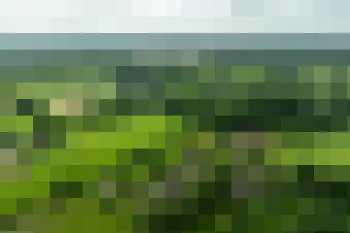 Oude Courageweg 7 Doornspijk thumbnail 63