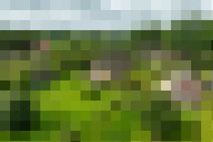 Oude Courageweg 7 Doornspijk thumbnail 65
