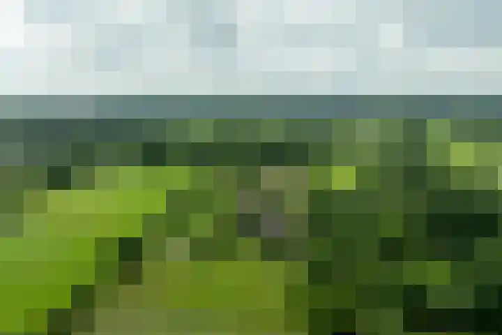 Oude Courageweg 7 Doornspijk thumbnail 66