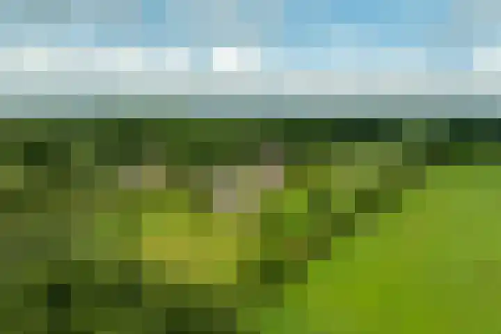 Oude Courageweg 7 Doornspijk thumbnail 67