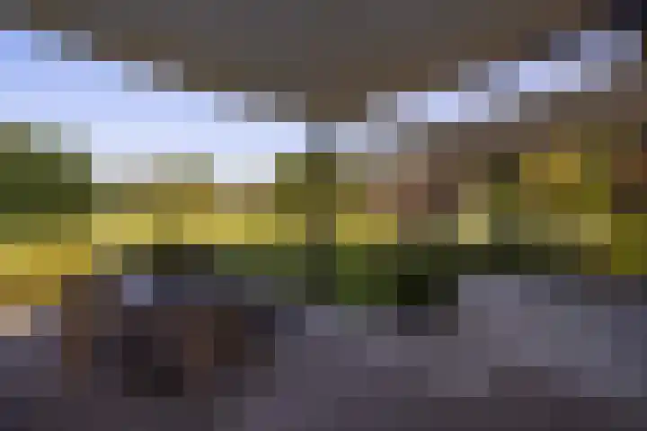Oude Courageweg 7 Doornspijk thumbnail 7