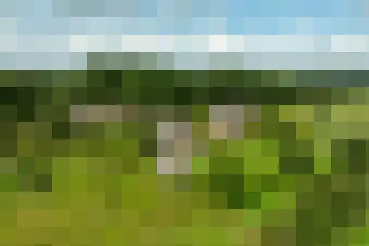 Oude Courageweg 7 Doornspijk thumbnail 8
