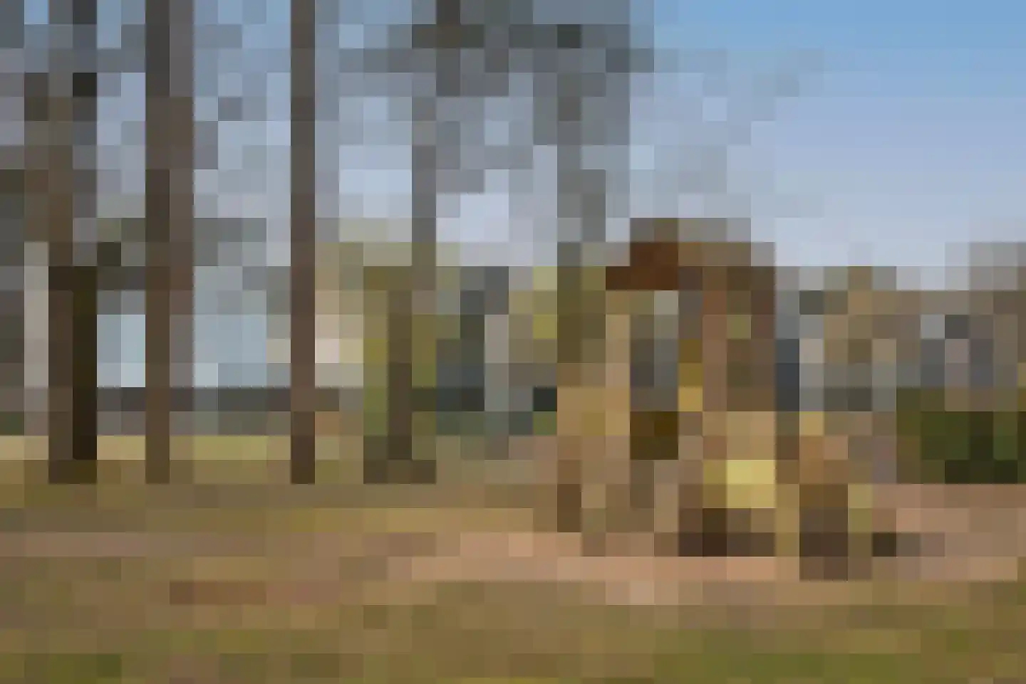 Oude Deldenerweg 205 256 Enschede thumbnail 22