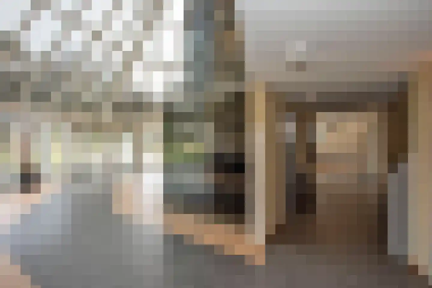 Oude Deldenerweg 205 256 Enschede thumbnail 7