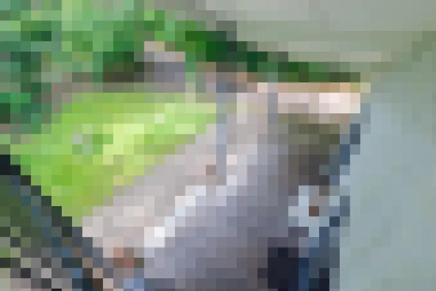 Oude Deldenerweg 252 Enschede thumbnail 23