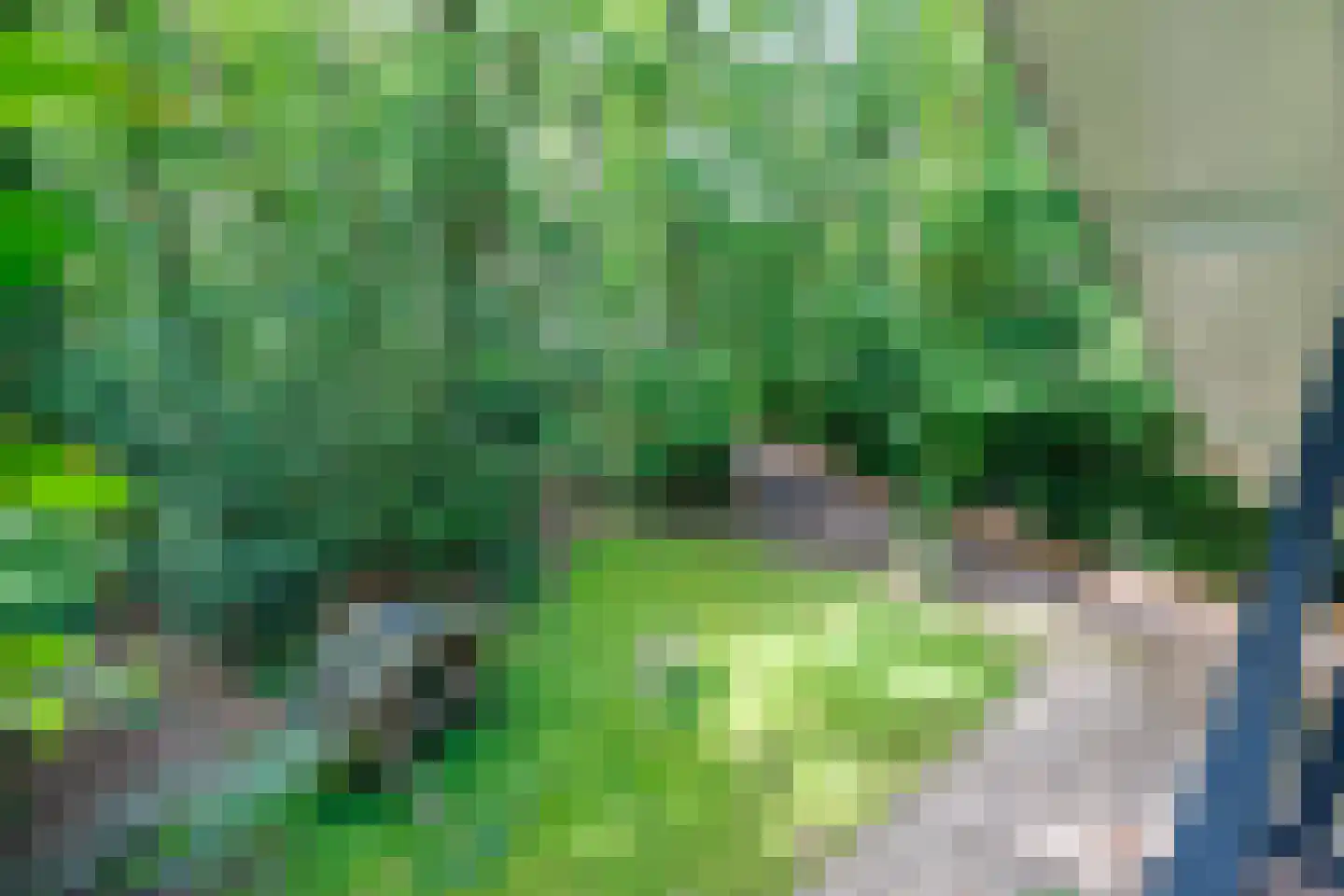 Oude Deldenerweg 252 Enschede thumbnail 36