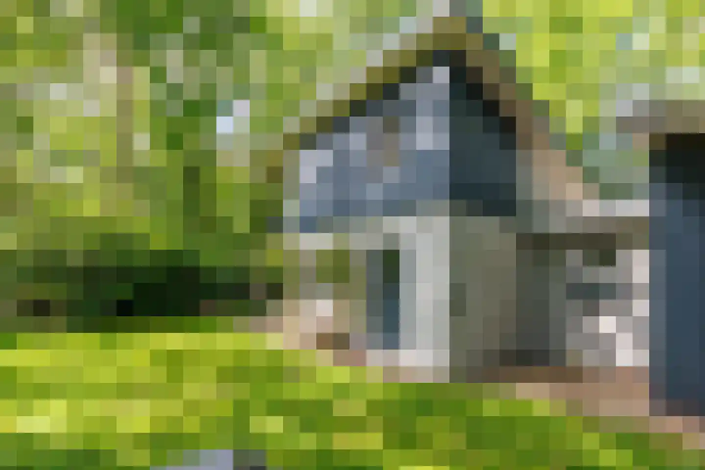 Oude Deldenerweg 252 Enschede thumbnail 39