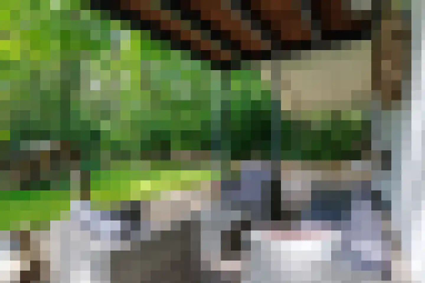 Oude Deldenerweg 252 Enschede thumbnail 41