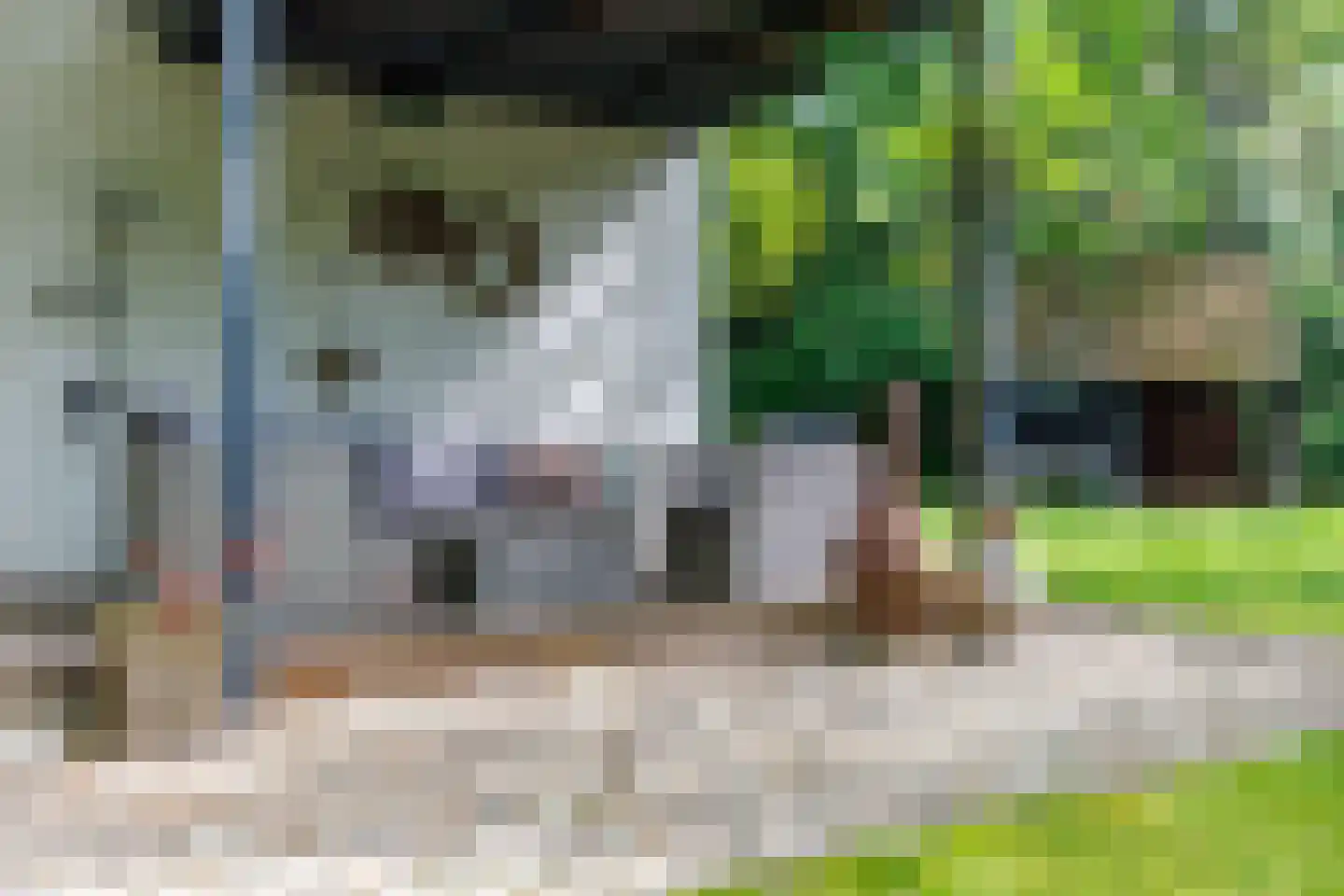 Oude Deldenerweg 252 Enschede thumbnail 42