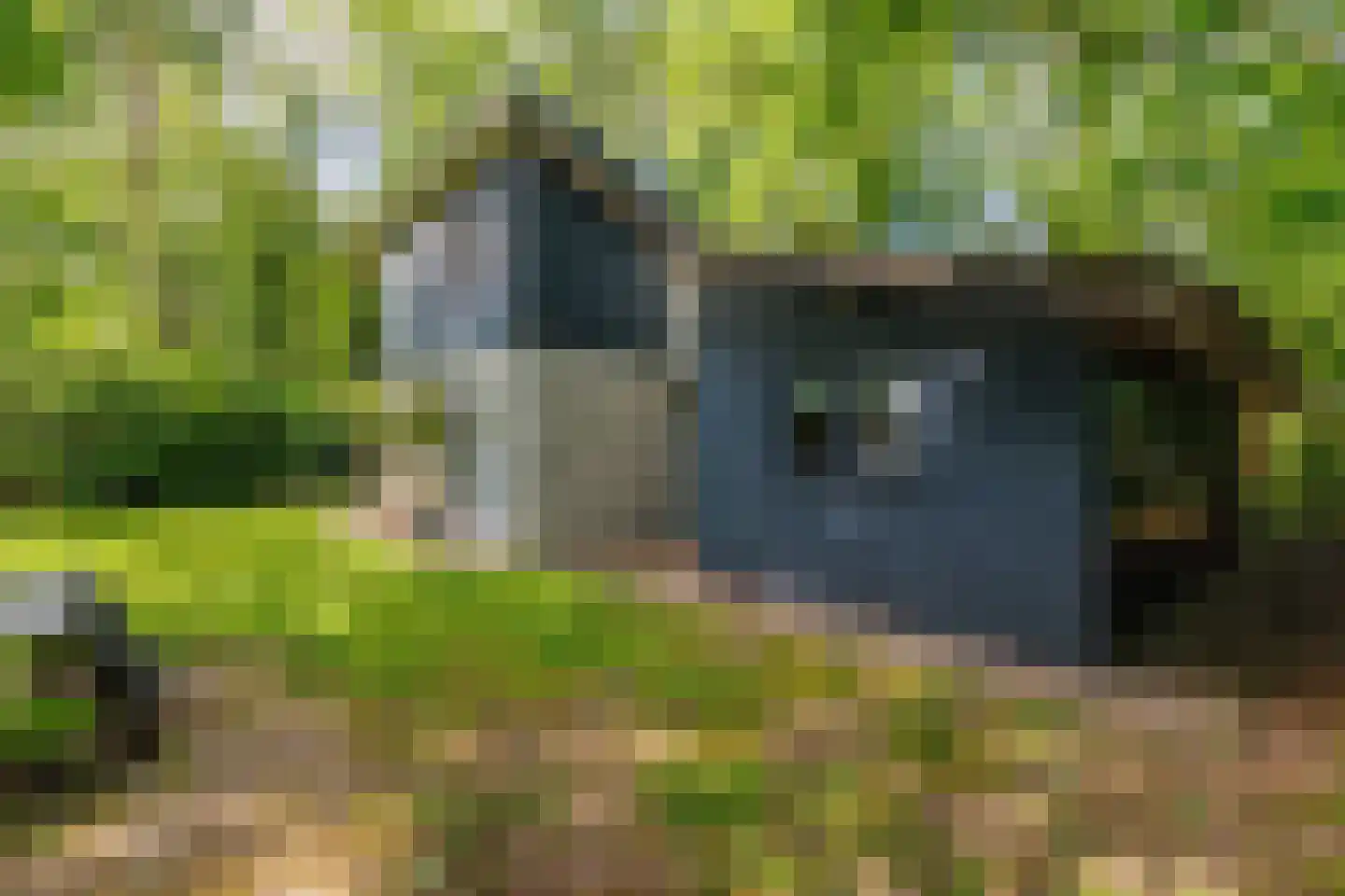 Oude Deldenerweg 252 Enschede thumbnail 46
