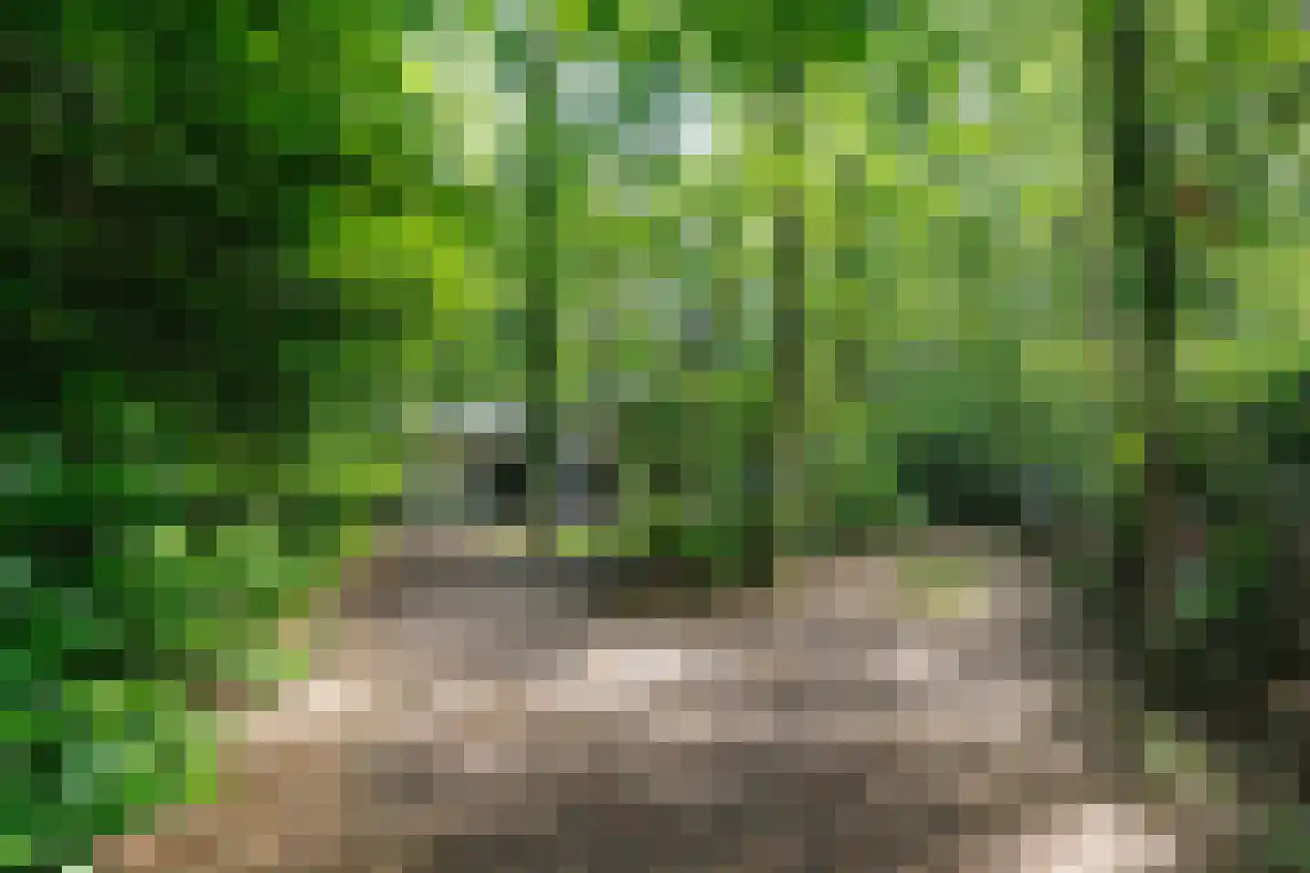 Oude Deldenerweg 252 Enschede thumbnail 47