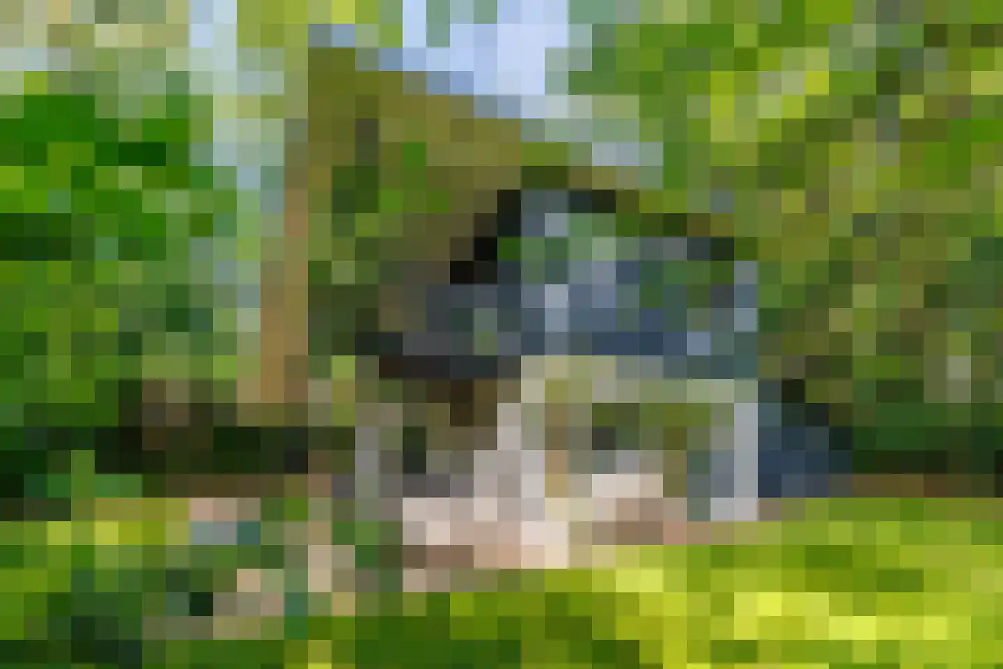 Oude Deldenerweg 252 Enschede thumbnail 6
