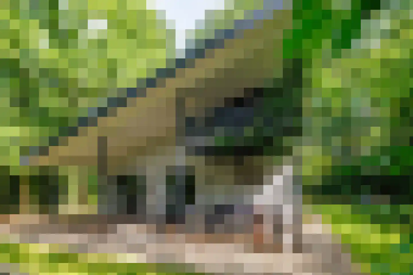 Oude Deldenerweg 252 Enschede thumbnail 7