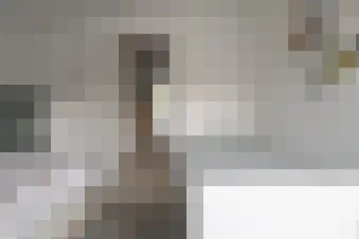 Oude Deldensestraat 11 Borne thumbnail 23