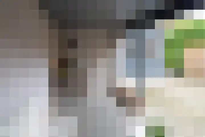Oude Deldensestraat 11 Borne thumbnail 27