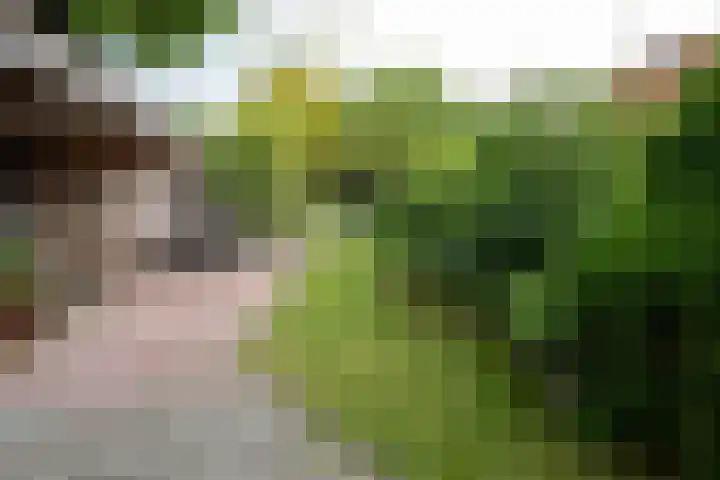 Oude Deldensestraat 11 Borne thumbnail 32