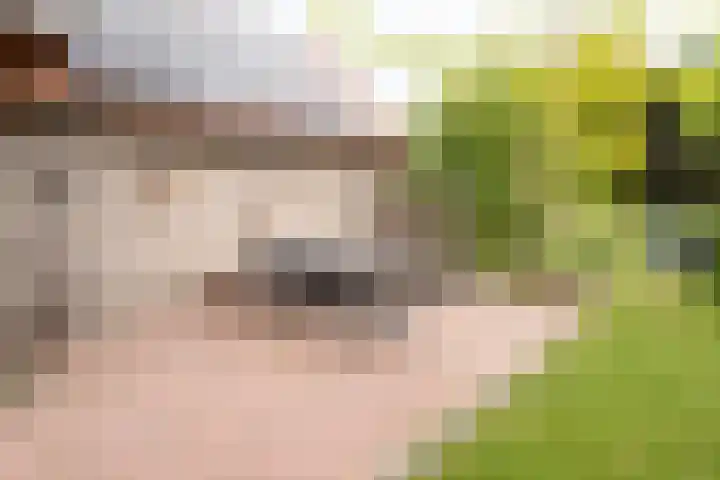 Oude Deldensestraat 11 Borne thumbnail 33
