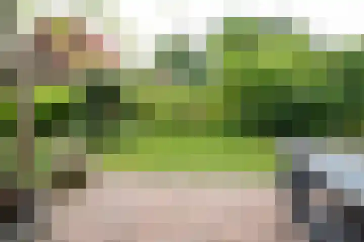Oude Deldensestraat 11 Borne thumbnail 34