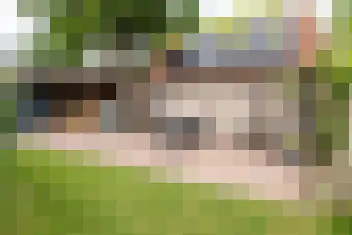 Oude Deldensestraat 11 Borne thumbnail 35