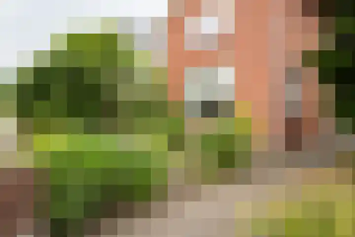 Oude Deldensestraat 11 Borne thumbnail 39