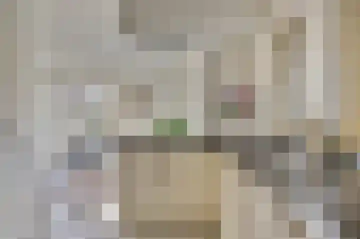 Oude Deldensestraat 34 Borne thumbnail 21