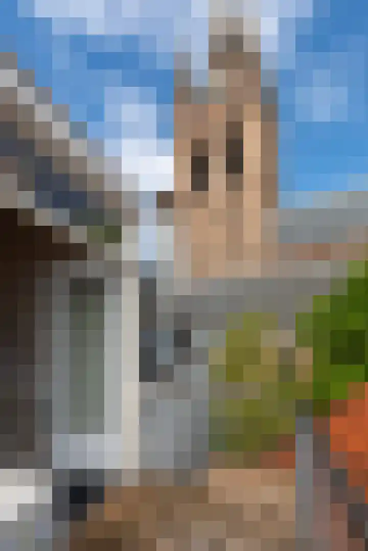 Oude Delft 142 Delft thumbnail 31