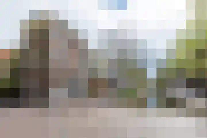 Oude Delft 142 Delft thumbnail 57