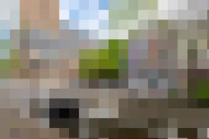 Oude Delft 142 Delft thumbnail 59