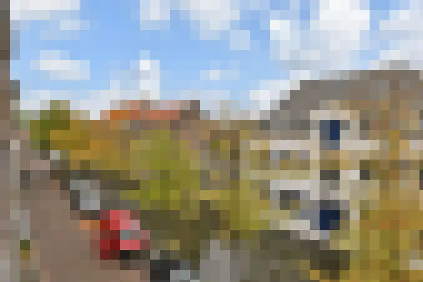 Oude Delft 41 B Delft thumbnail 22