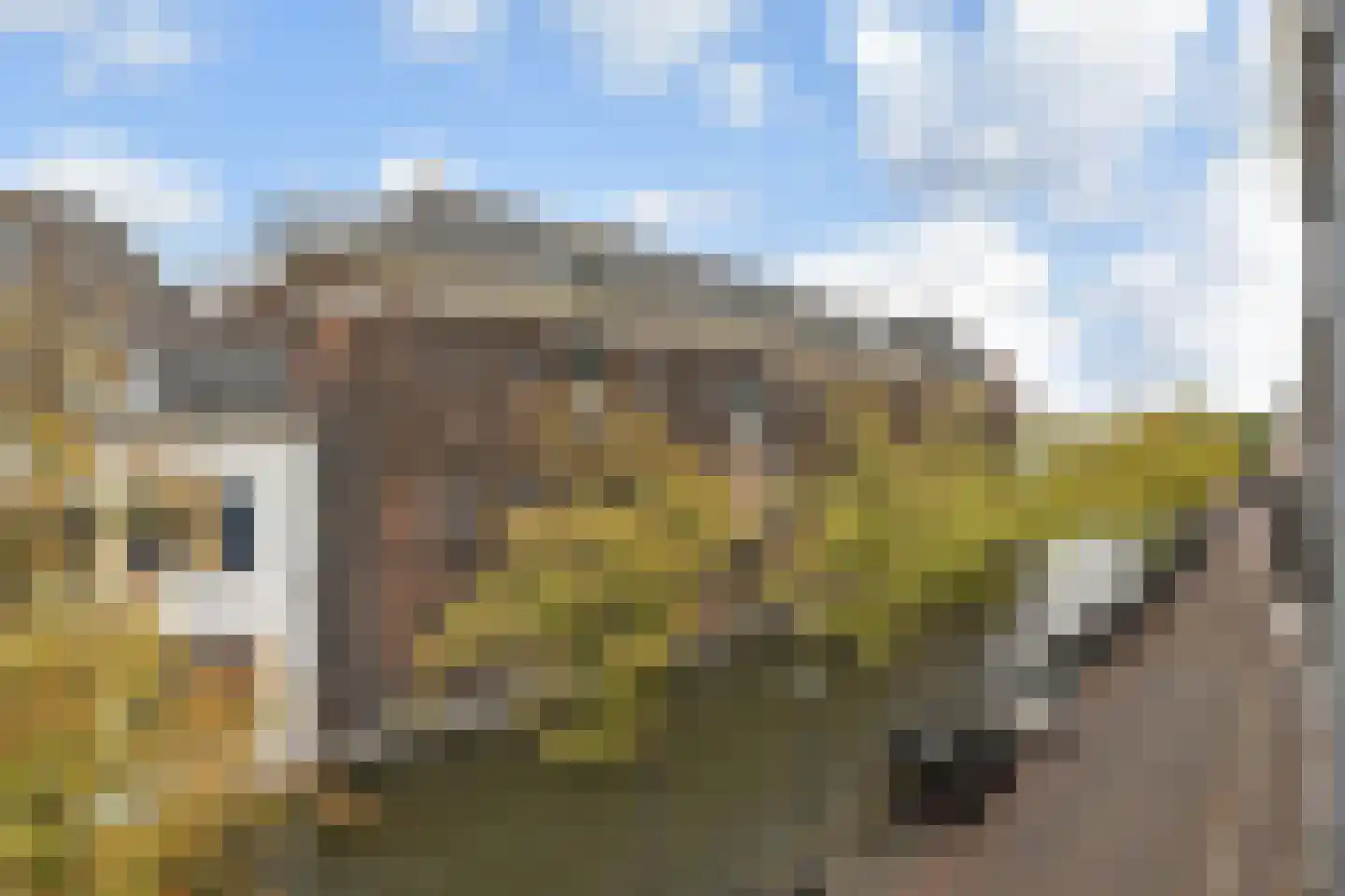 Oude Delft 41 B Delft thumbnail 23