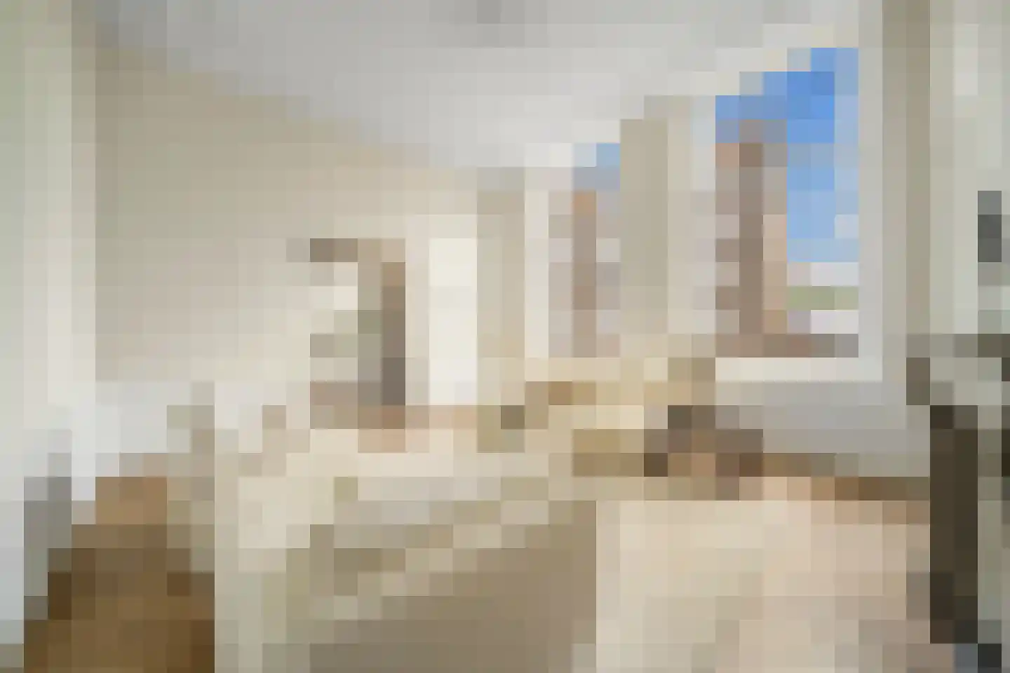 Oude Delft 45 Delft thumbnail 15