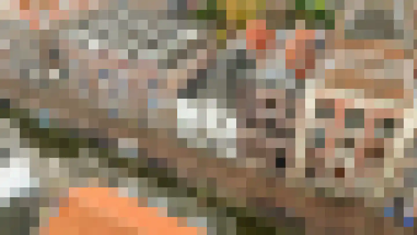 Oude Delft 45 Delft thumbnail 80