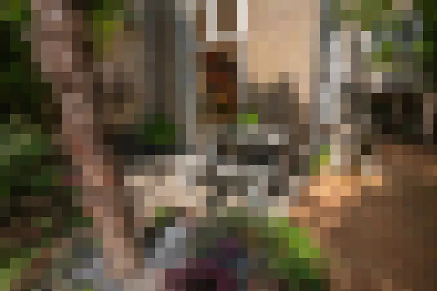 Oude Delft 47 Delft thumbnail 24