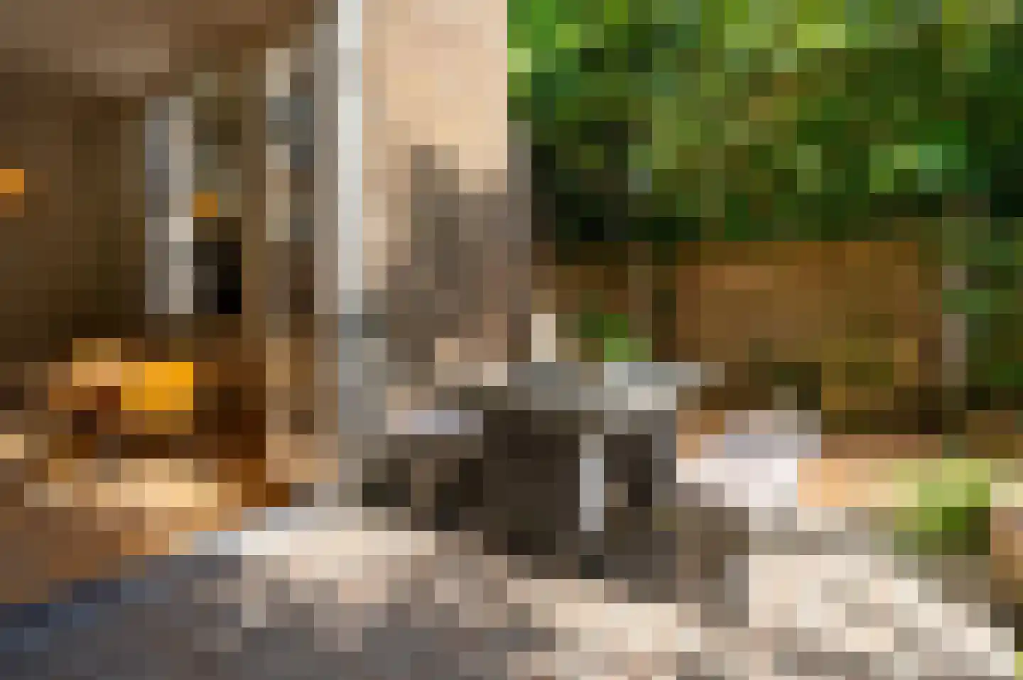 Oude Delft 47 Delft thumbnail 27