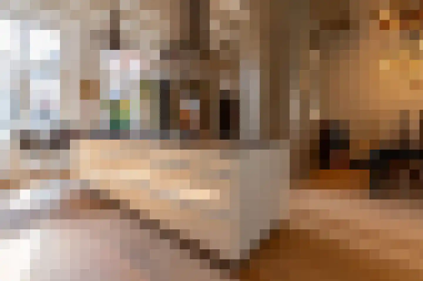 Oude Delft 47 Delft thumbnail 47
