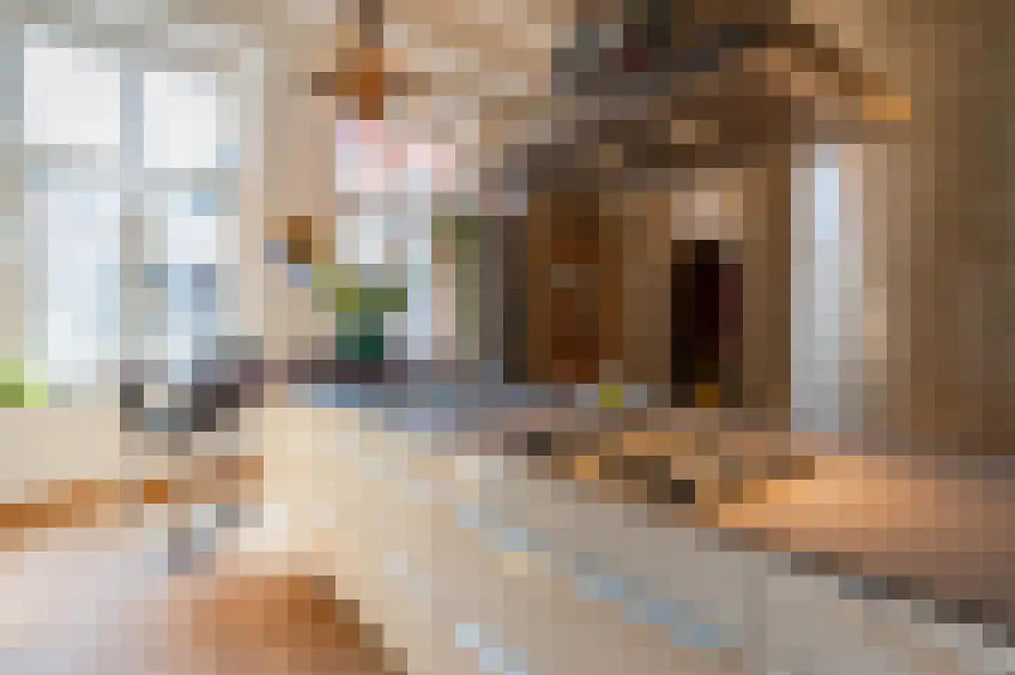 Oude Delft 47 Delft thumbnail 54