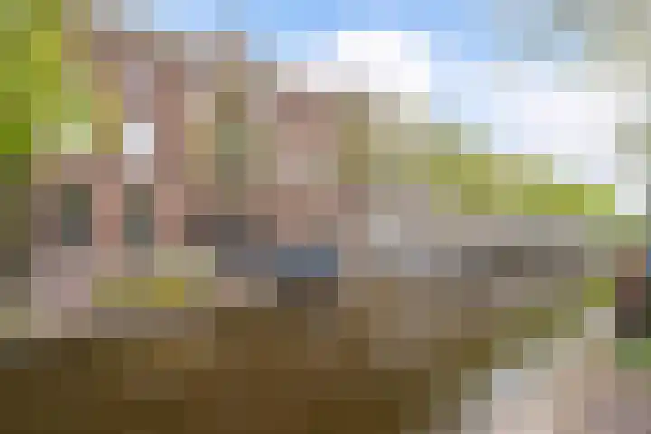Oude Delft 69 F Delft thumbnail 6