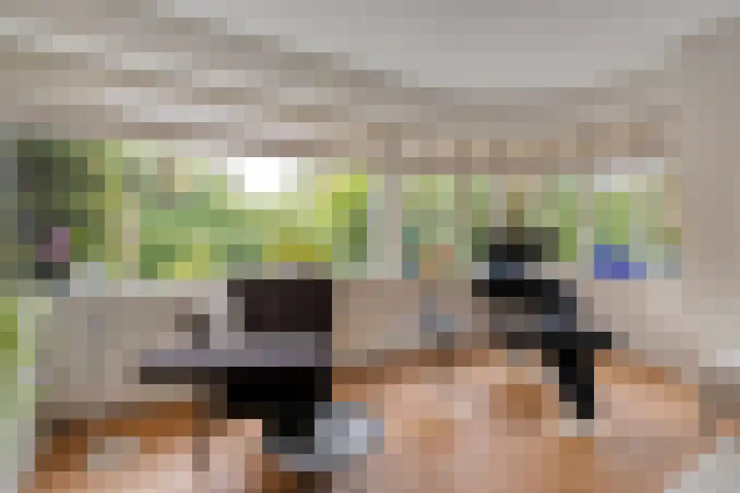 Oude Deventerstraatweg 15 Zwolle thumbnail 11
