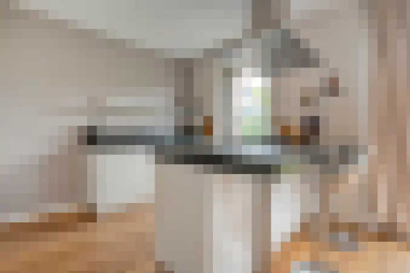 Oude Deventerstraatweg 15 Zwolle thumbnail 20