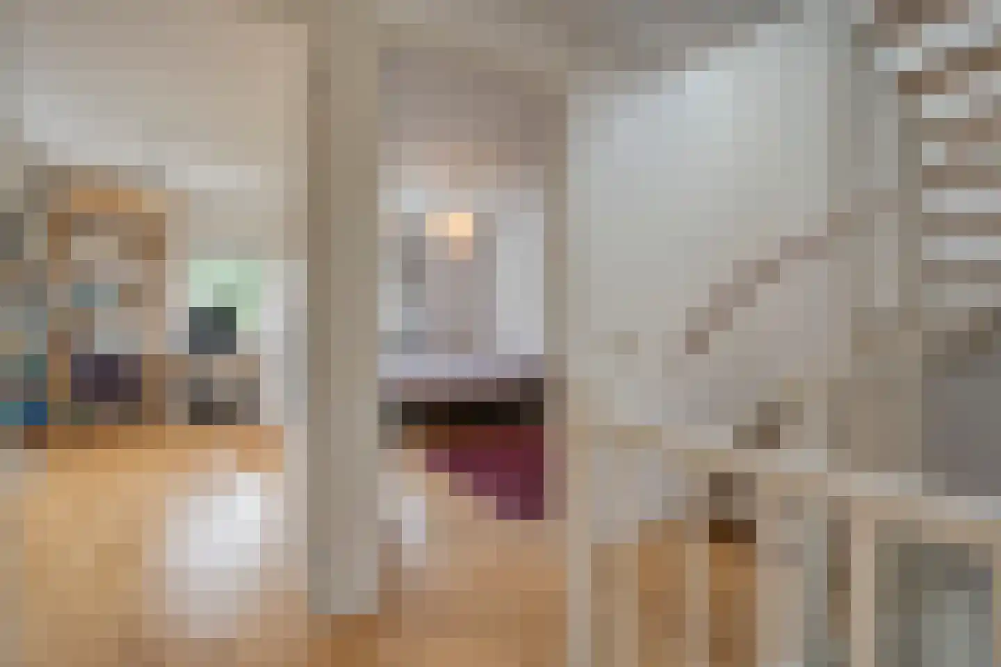 Oude Deventerstraatweg 15 Zwolle thumbnail 25